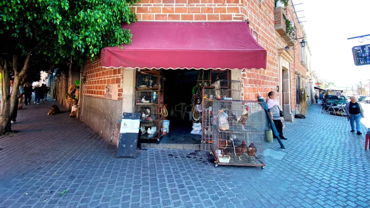 Foto de portada del establecimiento La providencia (Tienda de Don Teódulo Quezada)