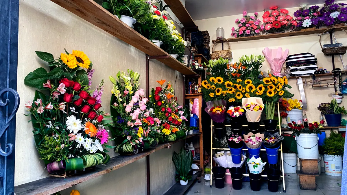 Foto de portada del establecimiento Floristería La Plaza 